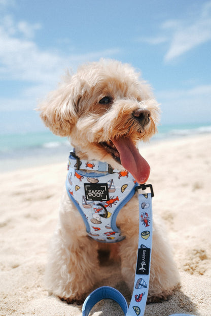 Dog Adjustable Harness -  Coastal Cuties