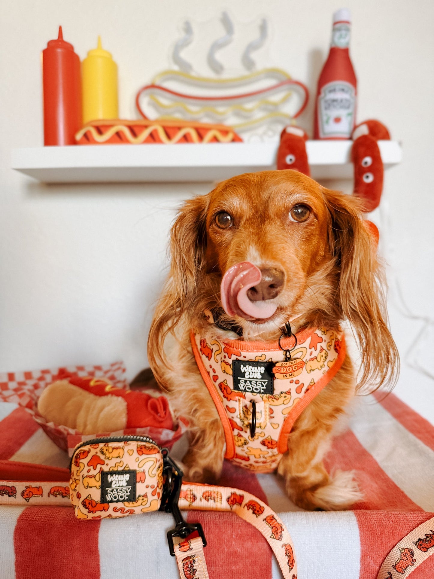 Dog Two Piece Bundle - Hot Dawg
