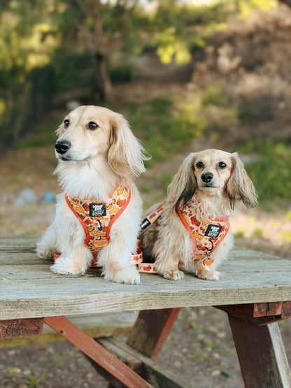 Dog Two Piece Bundle - Hot Dawg
