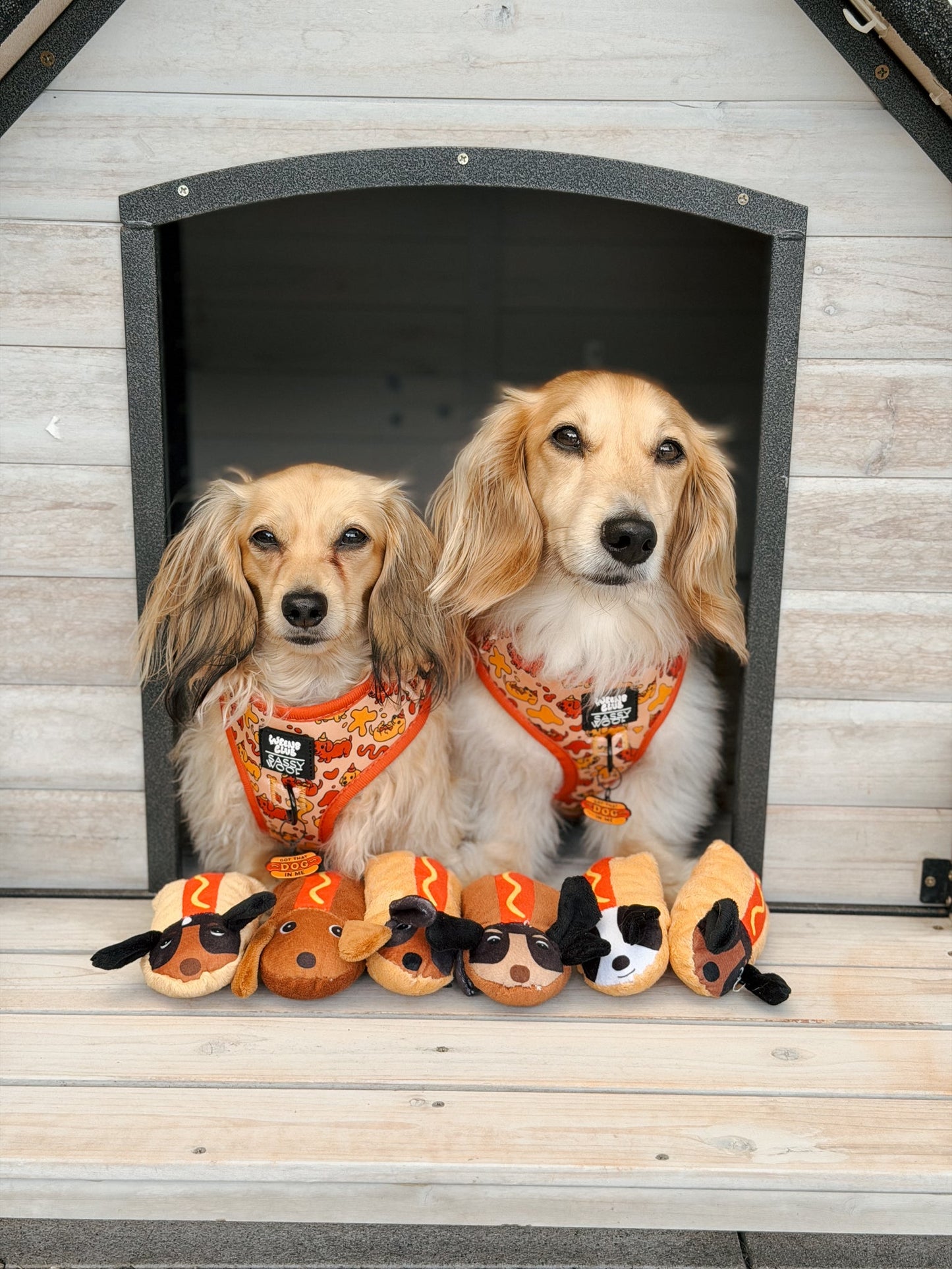 Dog Two Piece Bundle - Hot Dawg