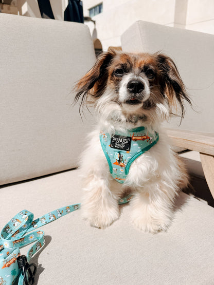 Dog Collar Three Piece Bundle - Peanuts™ Road Tripping