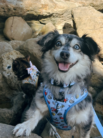 Dog Collar - Coastal Cuties