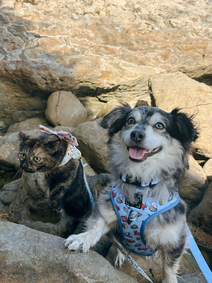 Dog Collar - Coastal Cuties