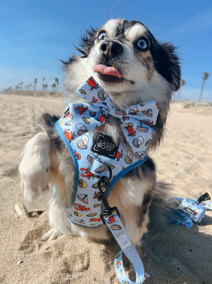 Dog Adjustable Harness -  Coastal Cuties
