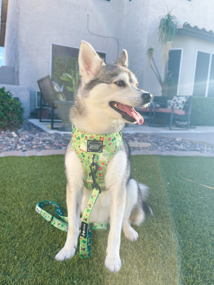 Dog Two Piece Bundle - Disney's Tiana