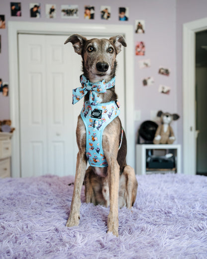 Dog Four Piece Bundle - Disney and Pixar's Up