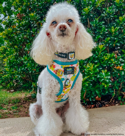 Dog Collar - SpongeBob SquarePants™ Bikini Bottom