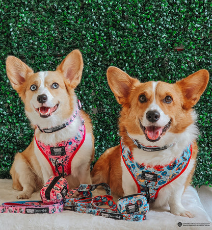 Dog Adjustable Harness - Looney Tunes™ Blue