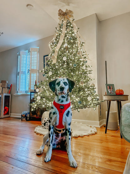 Dog Adjustable Harness - Naughty