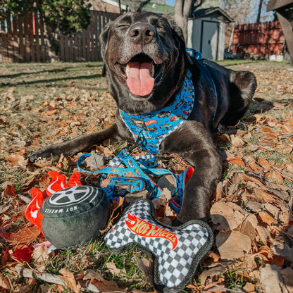 Dog Toy - Hot Wheels™