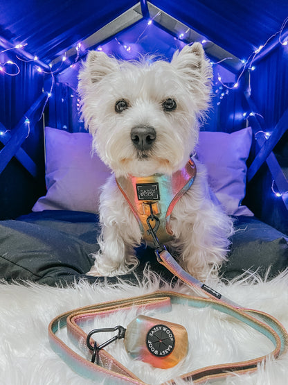 Dog Two Piece Bundle  - The Night Life