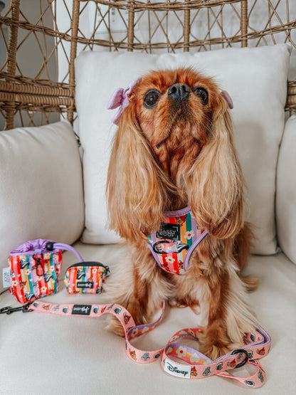Dog Two Piece Bundle - Disney's Bambi