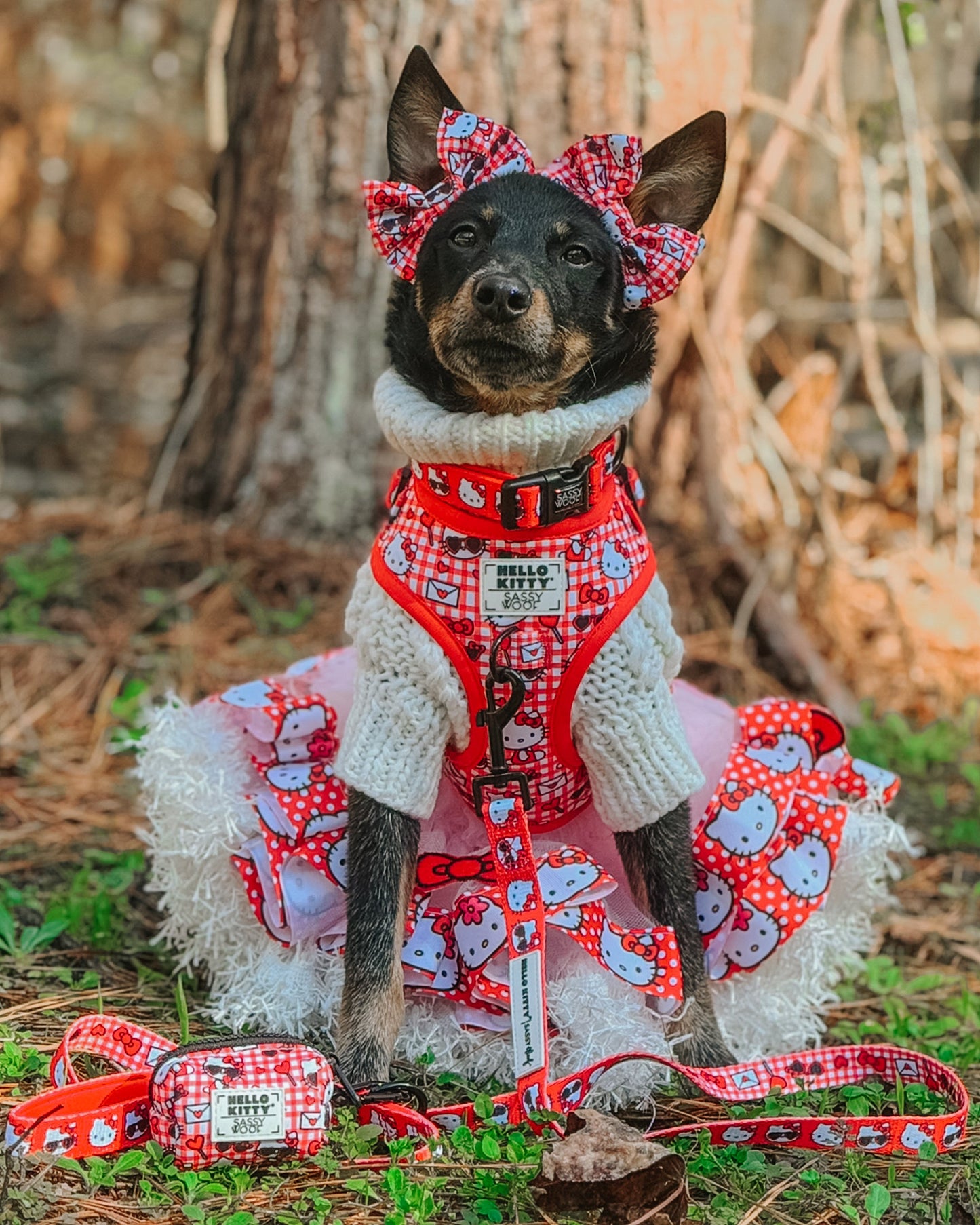 Dog Two Piece Bundle - Hello Kitty® Red Classic