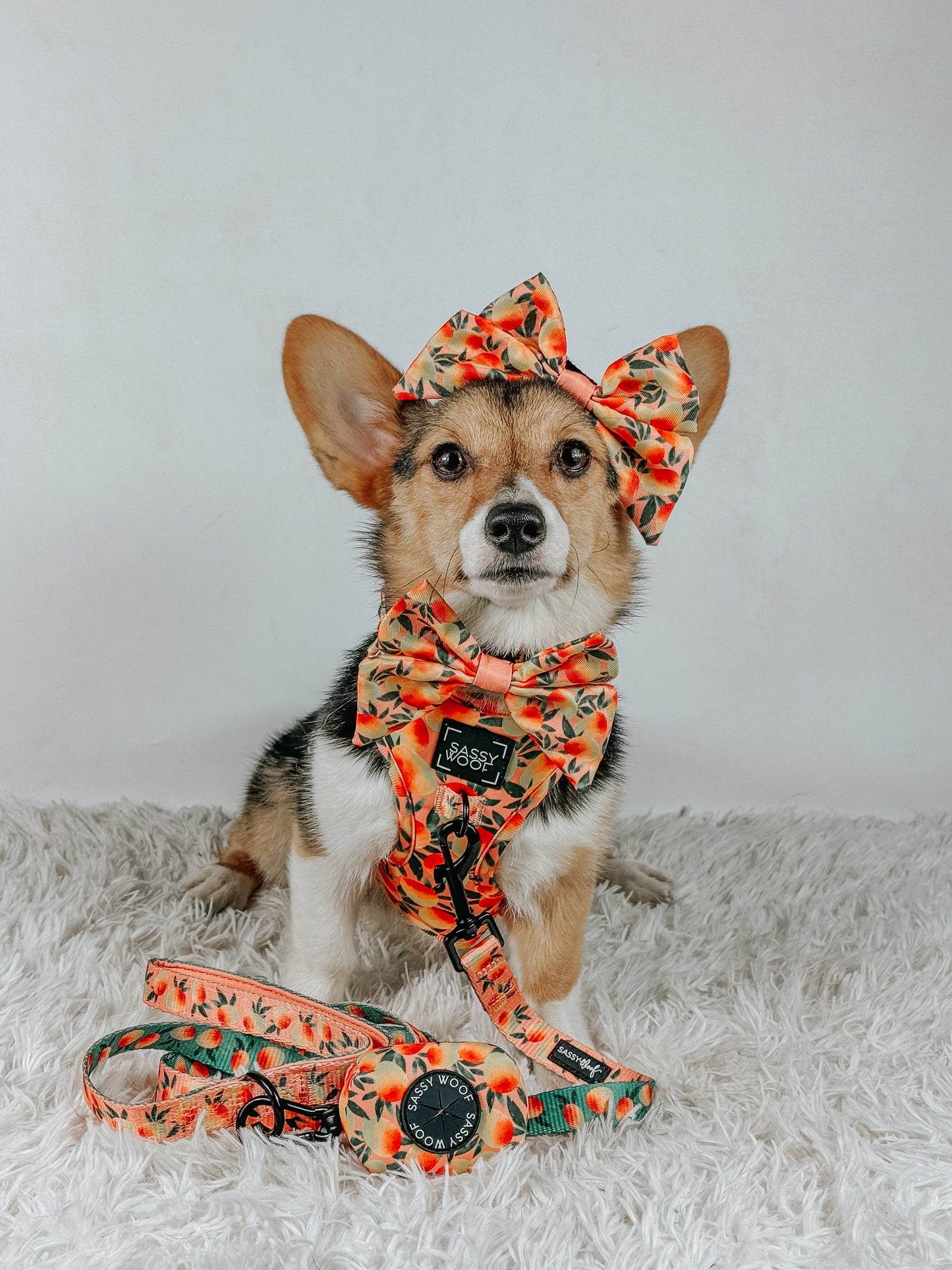 Dog Waste Bag Holder - Mango Tango