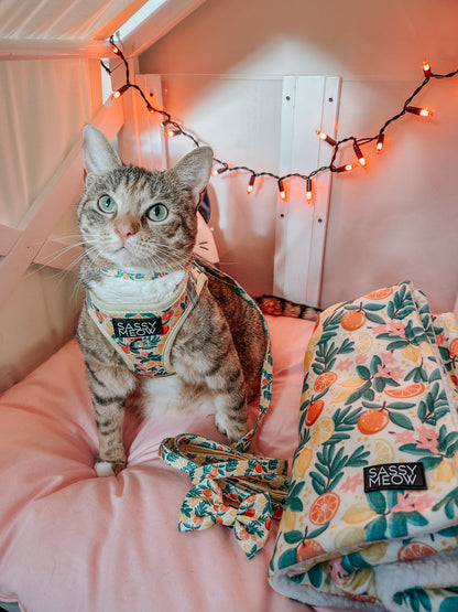 Pet Blanket - Zest Friends