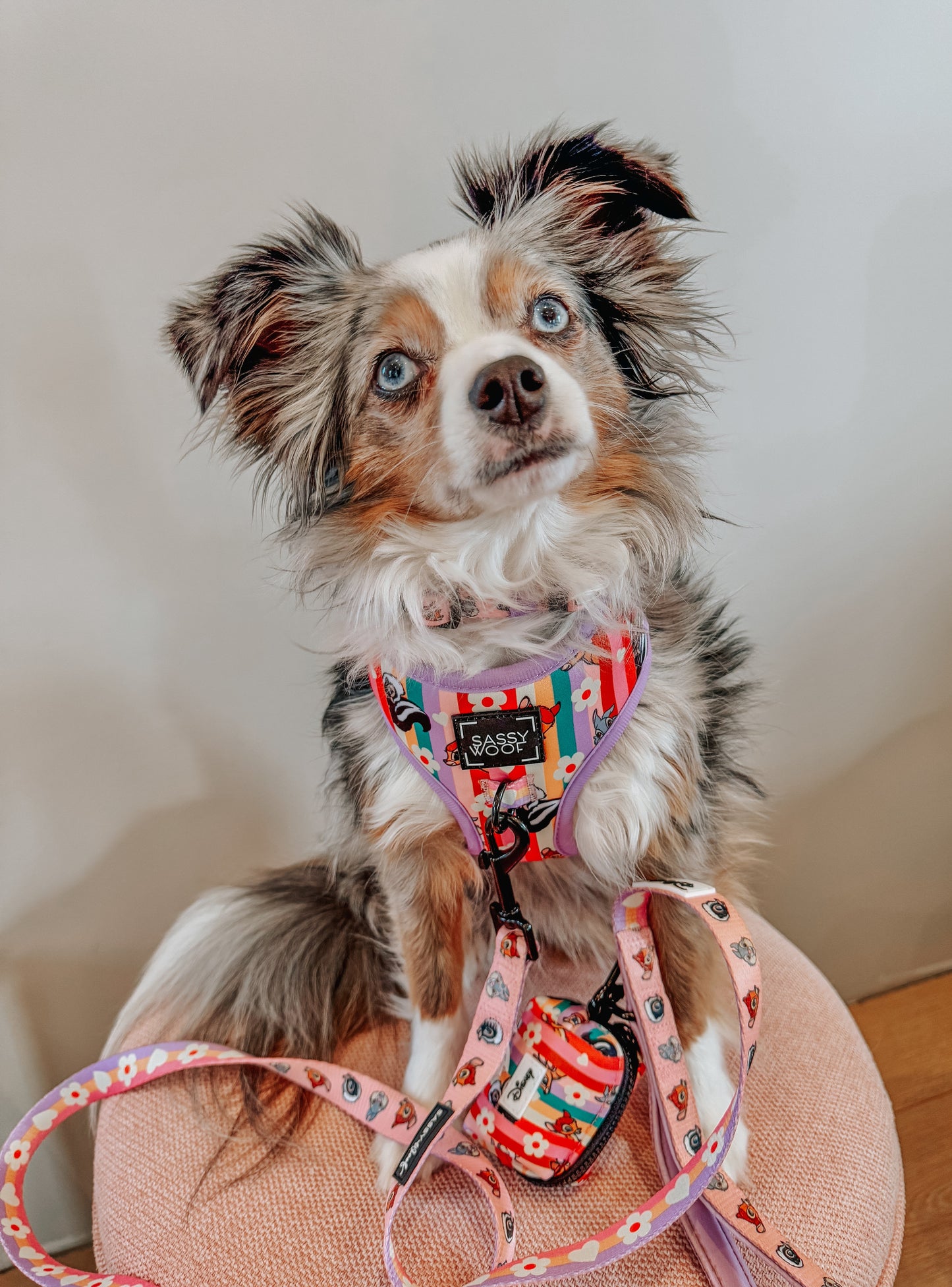 Dog Two Piece Bundle - Disney's Bambi