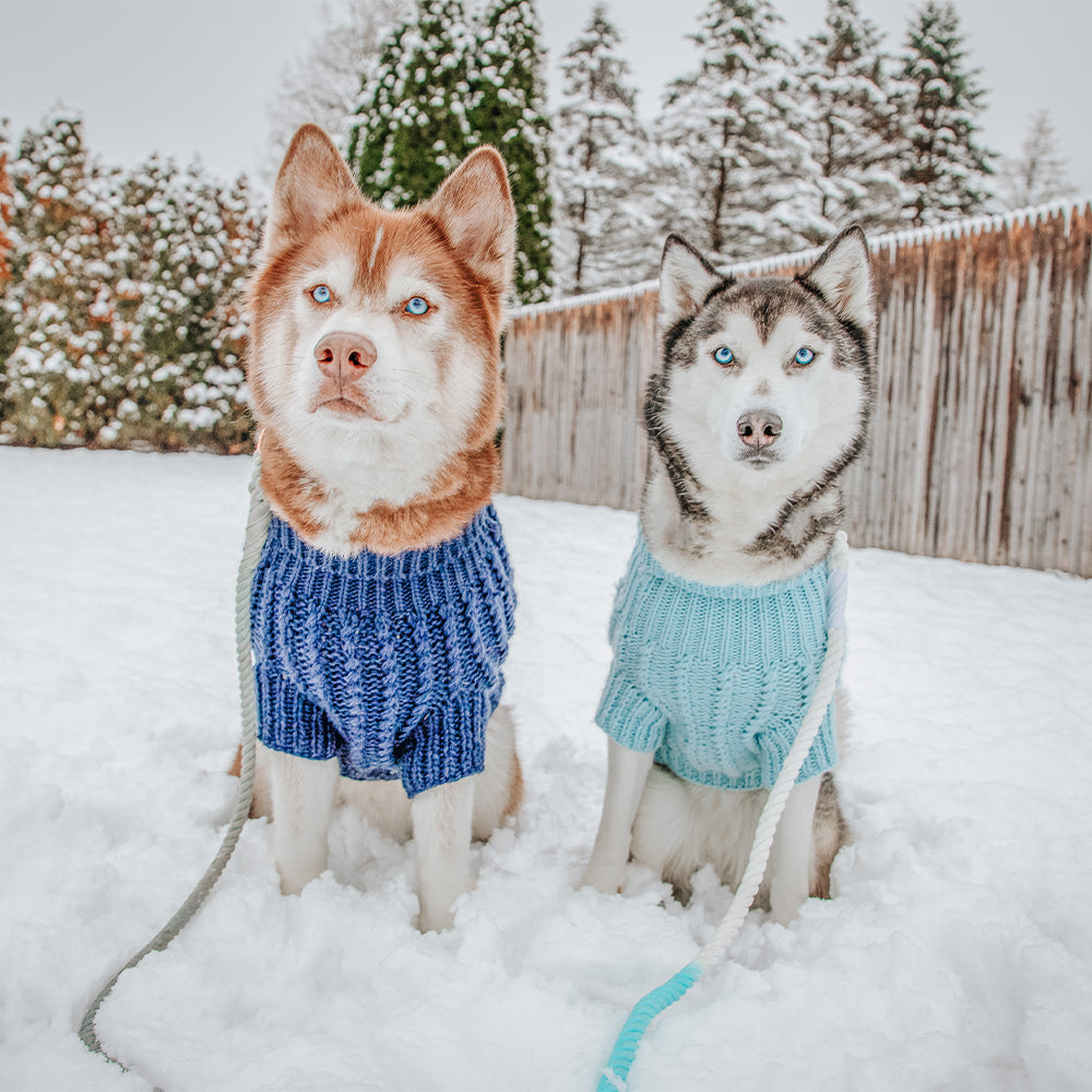 Pet Cable Knit Sweater - Light Blue