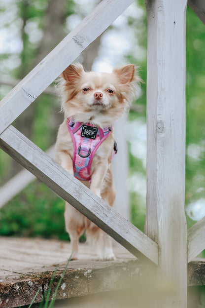 Dog Two Piece Bundle - Purple Haze