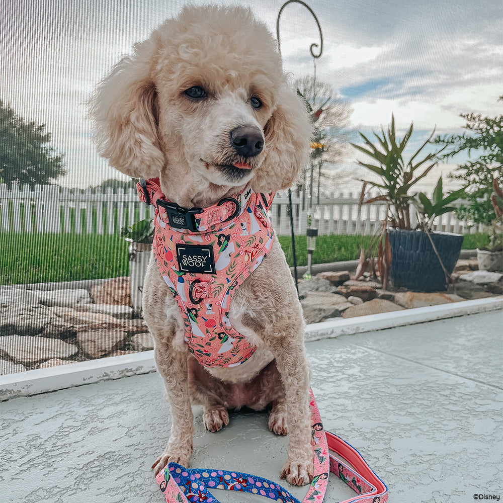 Harness Three Piece Bundle - Disney's Mulan
