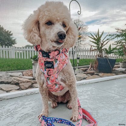 Harness Three Piece Bundle - Disney's Mulan