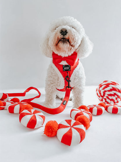 Dog Bowtie - Naughty