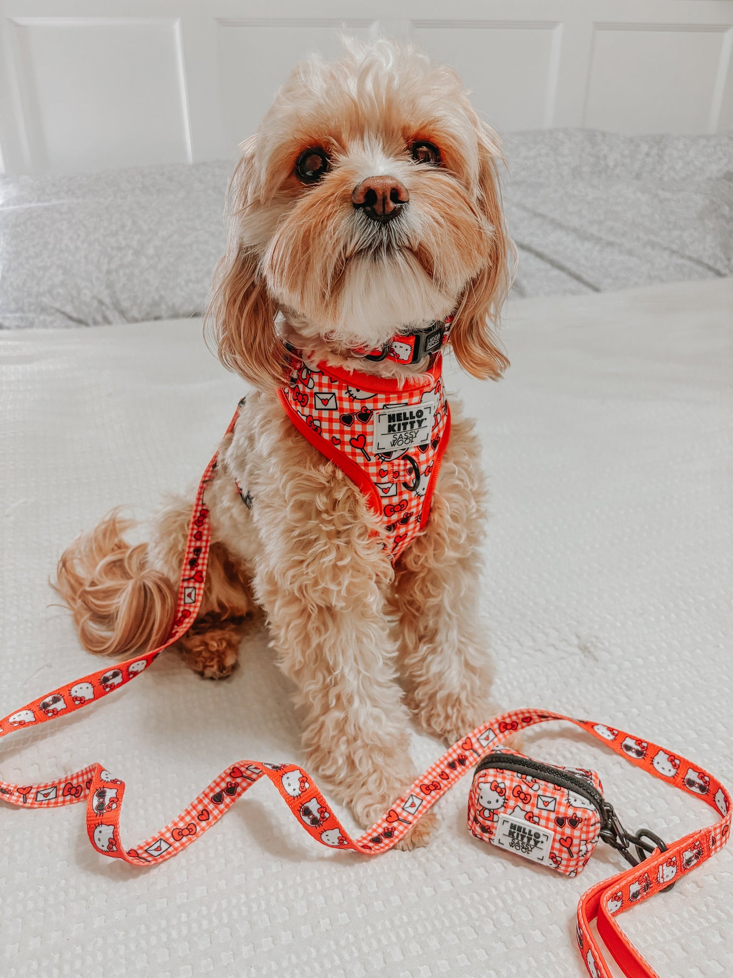 Dog Two Piece Bundle - Hello Kitty® Red Classic