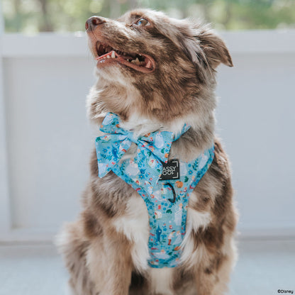 Dog Sailor Bow - Disney's Cinderella