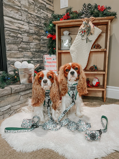 Dog Four Piece Bundle - Under the Mistletoe