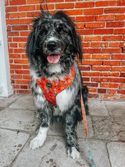Dog Adjustable Harness - Pupkin Donuts