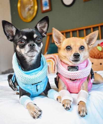 Dog Infinity Scarf - Blue