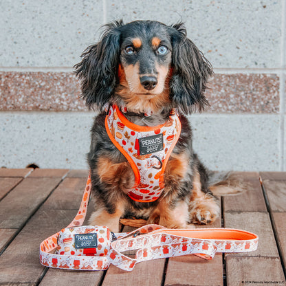 Dog Waste Bag Holder - Peanuts™ Harvest
