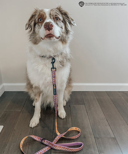 Dog Collar - Willy Wonka & The Chocolate Factory™