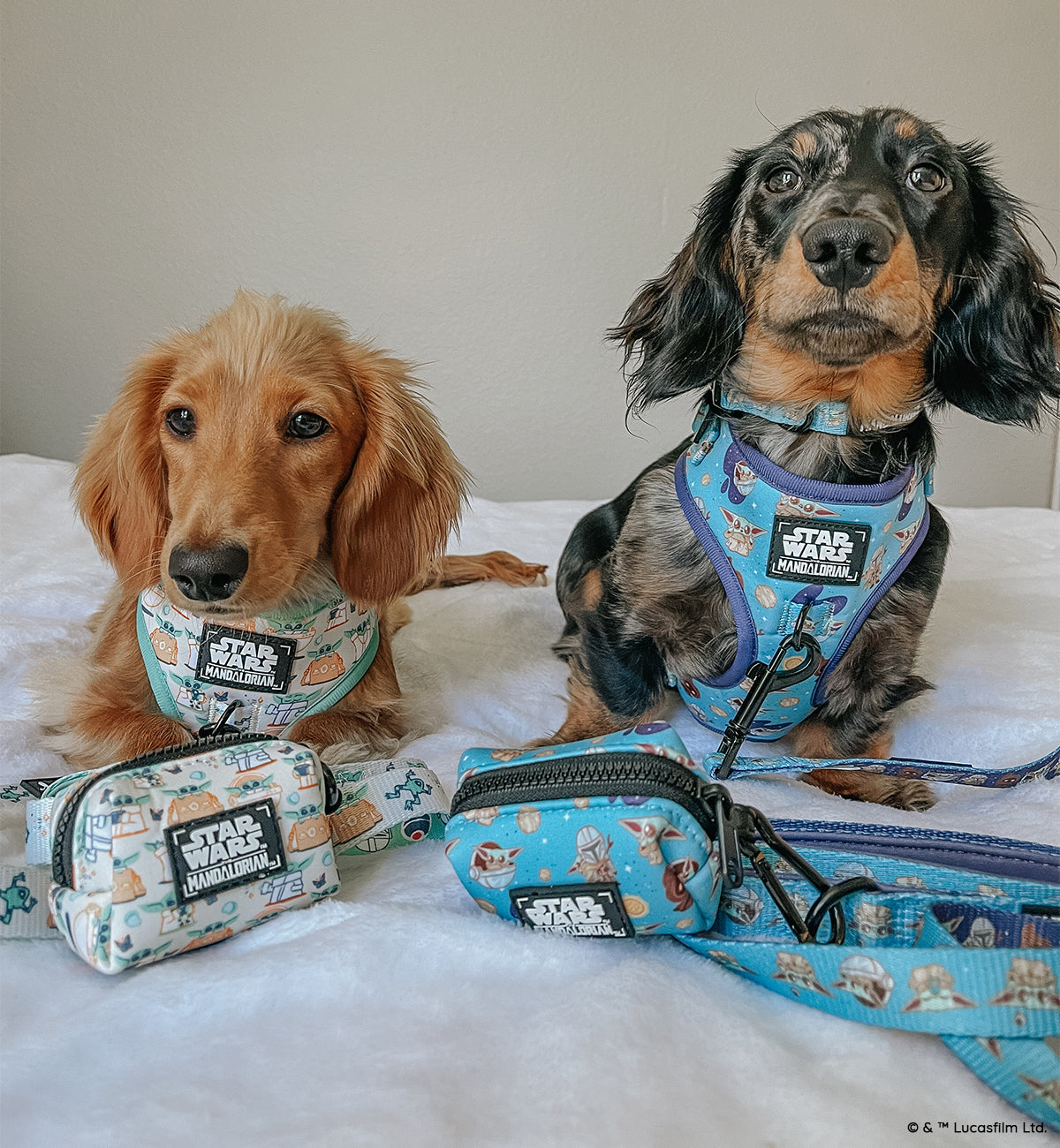 Dog Waste Bag Holder - STAR WARS™ The Child™