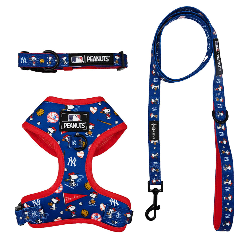 Harness Three Piece Bundle - MLB™ x Peanuts™ New York Yankees™