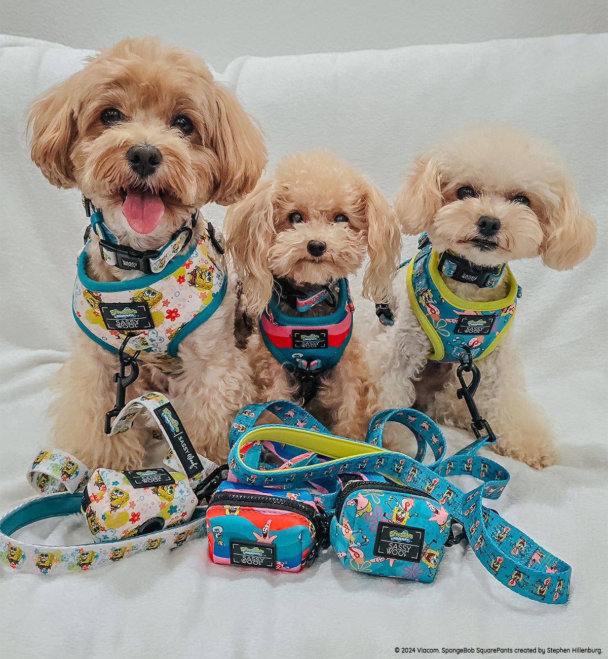 Dog Four Piece Bundle - SpongeBob SquarePants™ Bikini Bottom