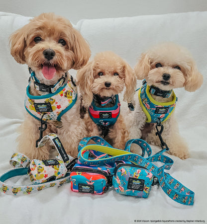 Dog Four Piece Bundle - SpongeBob SquarePants™ Bikini Bottom