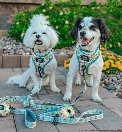Dog Collar - SpongeBob SquarePants™ Bikini Bottom