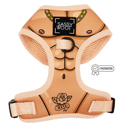 Dog Two Piece Bundle - Muscle Bod