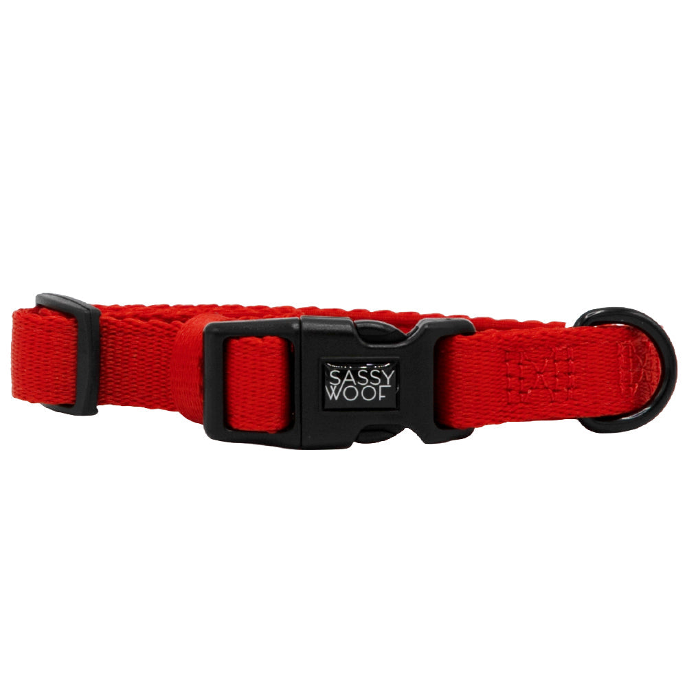 Dog Collar Three Piece Bundle - Neon Red
