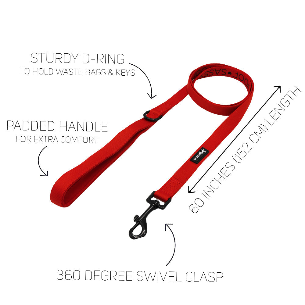 Dog Collar Three Piece Bundle - Neon Red