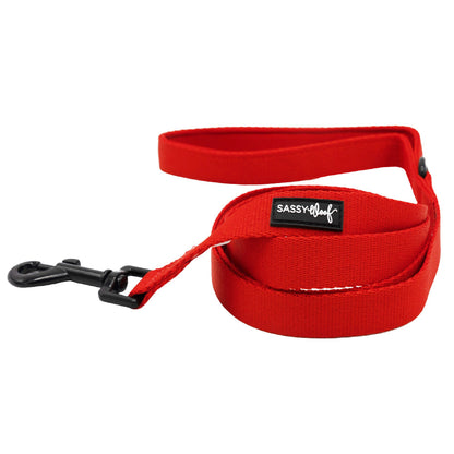 Dog Collar Three Piece Bundle - Neon Red