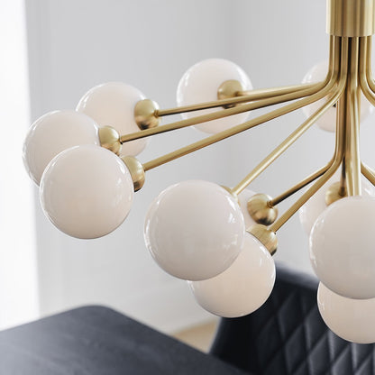 Apiales 18 Chandelier