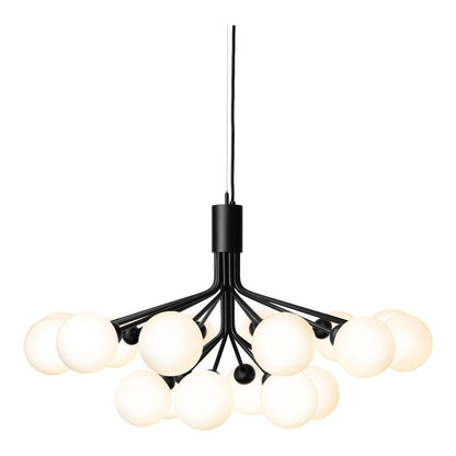 Apiales 18 Chandelier