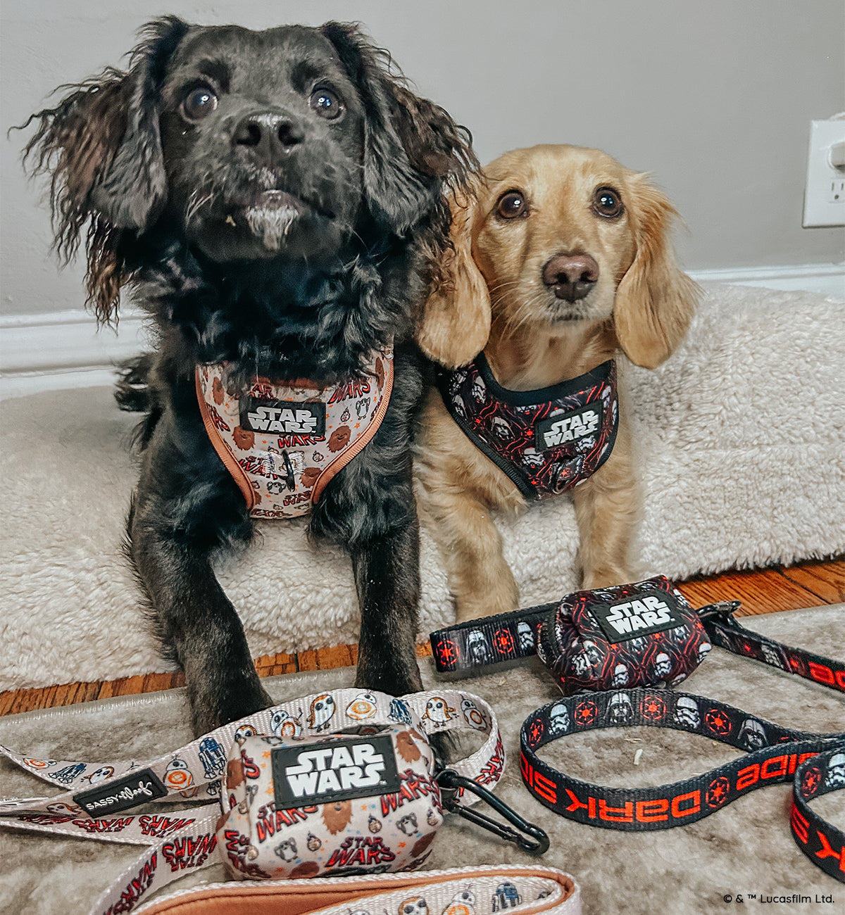 Dog Two Piece Bundle -  STAR WARS™ The Dark Side