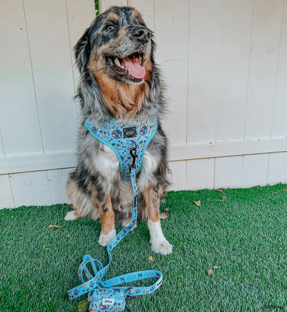Dog Two Piece Bundle -  Disney's Stitch
