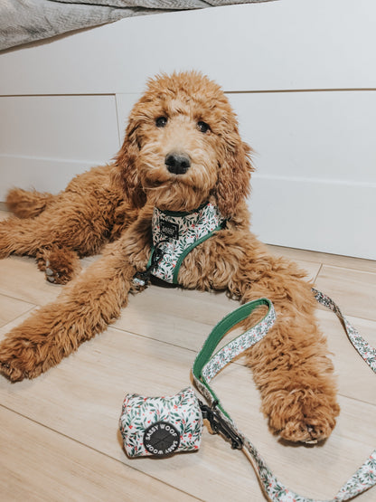 Dog Four Piece Bundle - Under the Mistletoe
