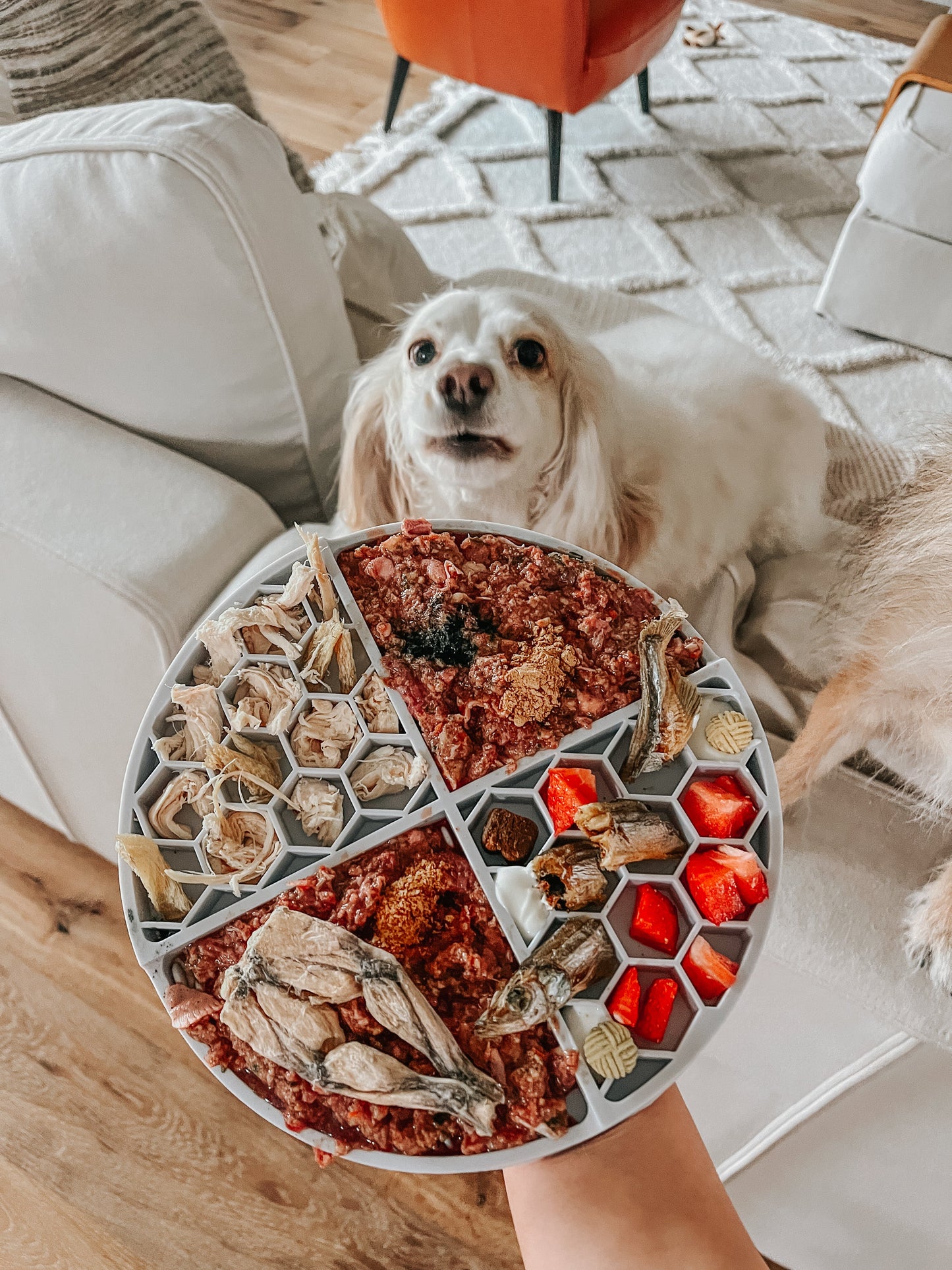 Dog Lick Mat