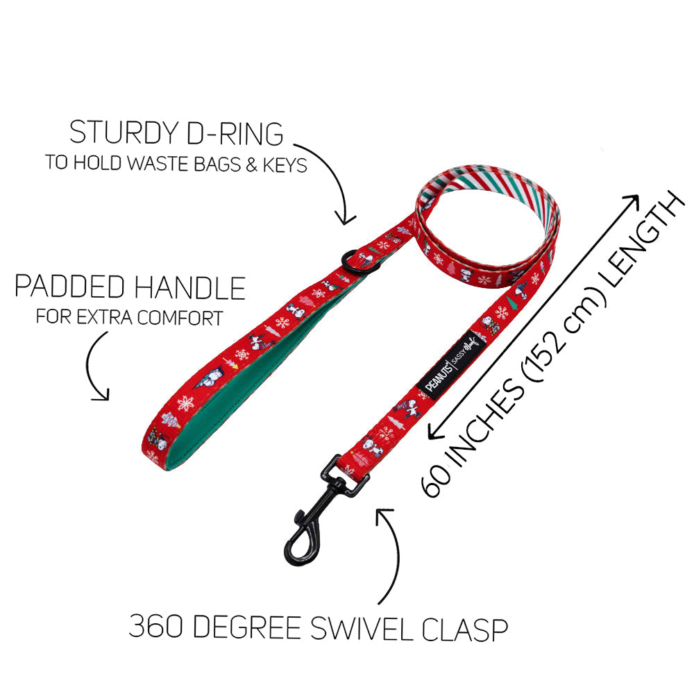 Dog Collar Three Piece Bundle - Peanuts™ Beagle Bells