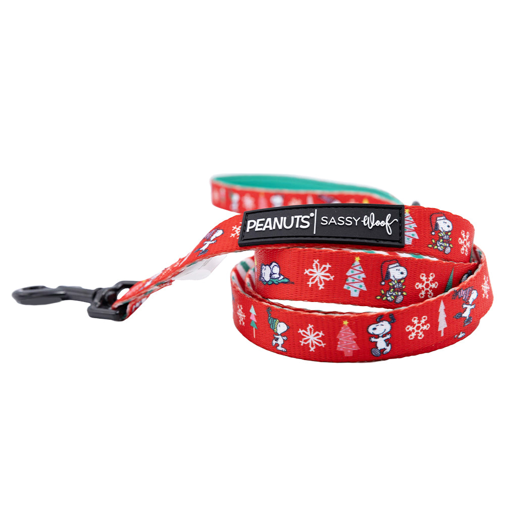 Dog Collar Three Piece Bundle - Peanuts™ Beagle Bells