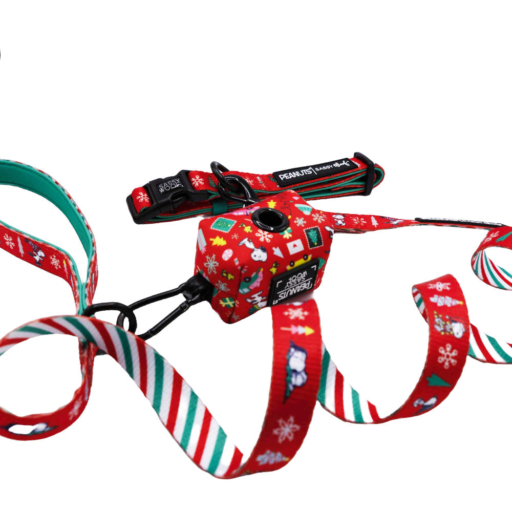 Dog Collar Three Piece Bundle - Peanuts™ Beagle Bells